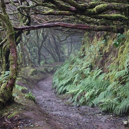 Casa Rural En El Parque Nacional De Garajonay En La Isla De La Gomera, Alonso Y Carmen Banda de Las Rosas Zewnętrze zdjęcie